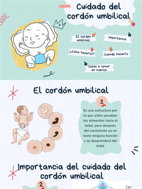 Diagrama del cordón umbilical recién cortado