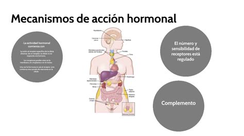 Diagrama comparativo de los mecanismos de acción de los diferentes tratamientos hormonales para el cáncer de próstata.