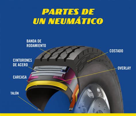 Diagrama mostrando las partes de un neumático y sus dimensiones