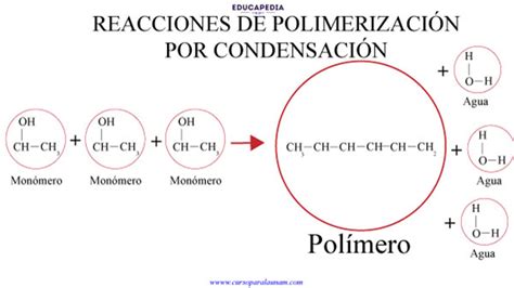 Reacción química de polimerización