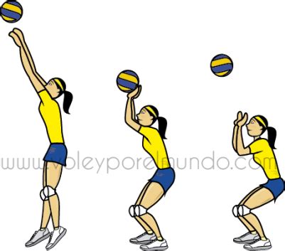 Ilustración de las diferentes posiciones y movimientos para el toque de dedos en voleibol