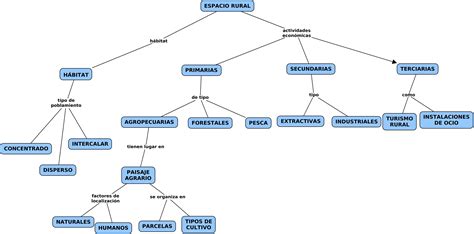 Mapa conceptual de opciones de envío para neumáticos