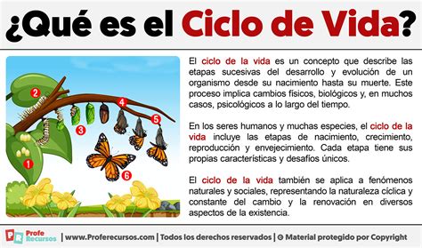 Diagrama que ilustra el ciclo de vida de una bomba de gasolina reutilizada bajo el sistema KZD