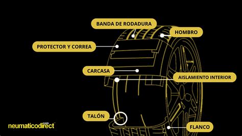 Imagen de un neumático antipinchazos con su estructura interna reforzada.
