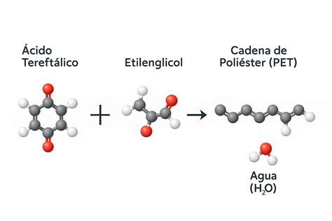 Diagrama de la estructura molecular del poliéster insaturado durante la polimerización