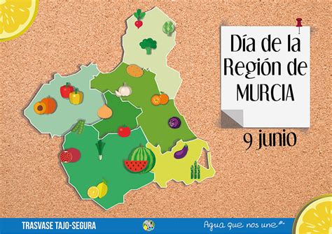 Diversidad de fundaciones en la Región de Murcia