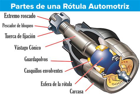 Diagrama de una rótula automotriz