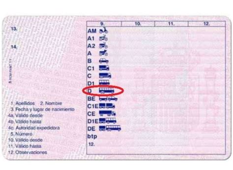 Infografía que resume los pasos para obtener el carnet de conducir