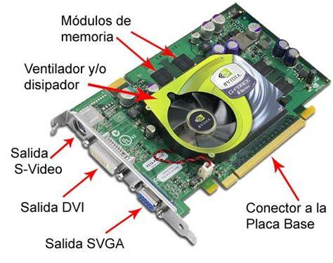 Componentes internos de una tarjeta gráfica NVIDIA