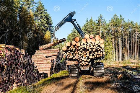 Remolque forestal cargado de troncos