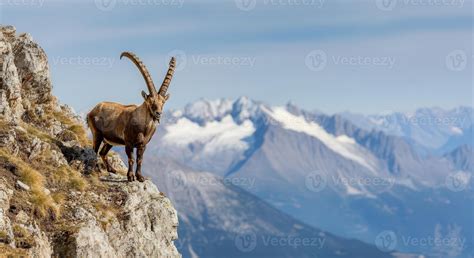 Cabra montés en un paisaje rocoso