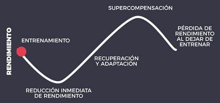 Representación visual del ciclo de entrenamiento y recuperación