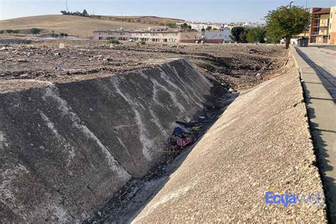 Aficionados observando un rally desde la cuneta