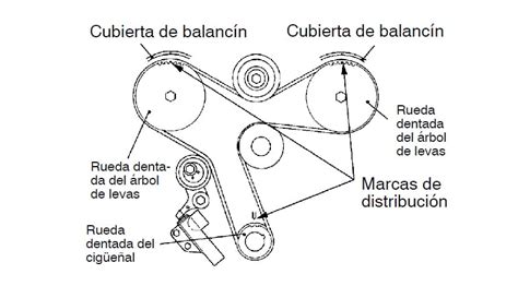 Esquema de un motor con correa de distribución y bomba de agua