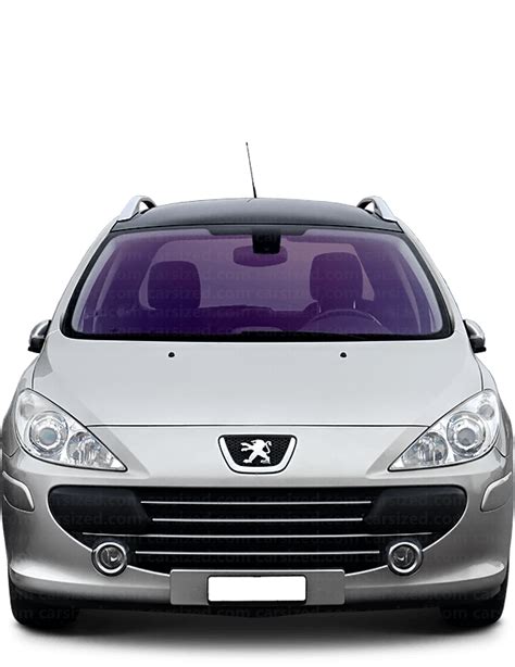 Peugeot 307 2002 vista frontal