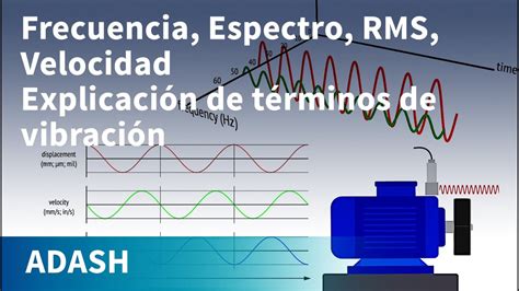 Diagrama de vibraciones del motor transmitidas al habitáculo