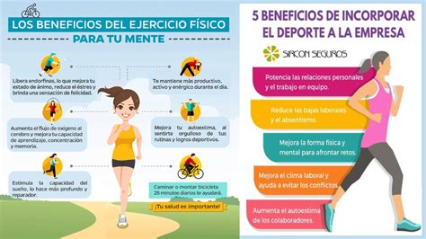 Diagrama ilustrando los beneficios del ejercicio físico en la circulación sanguínea