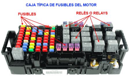 Diagrama de una caja de fusibles de automóvil con componentes etiquetados