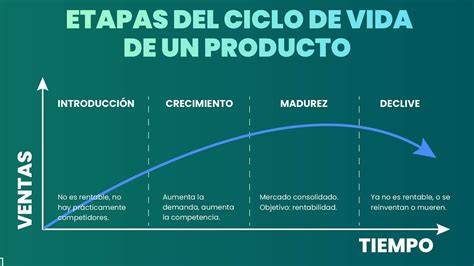 Infografía mostrando el ciclo de vida de un vehículo y los puntos de intervención de un desguace
