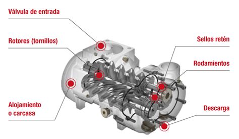 Diagrama de un compresor de tornillo mostrando sus componentes internos