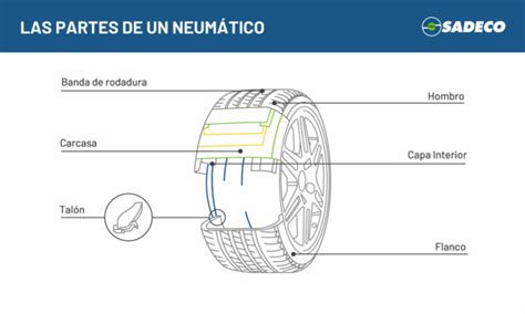 Diagrama de las partes de un neumático con sus medidas