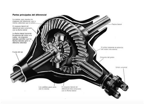 Diagrama de un diferencial automotriz