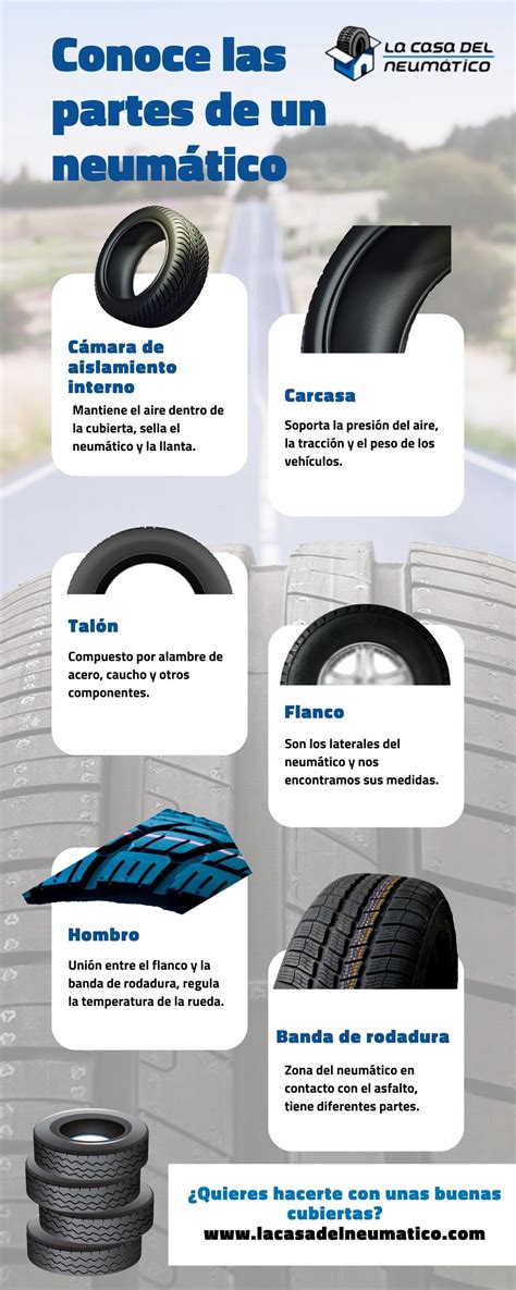 Infografía detallando los componentes internos de un neumático