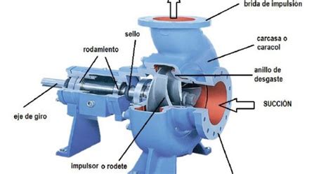 Corte transversal de una bomba centrífuga mostrando sus componentes principales