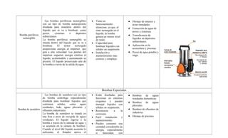 Diagrama comparativo de bombas autocebantes, sumergibles y periféricas